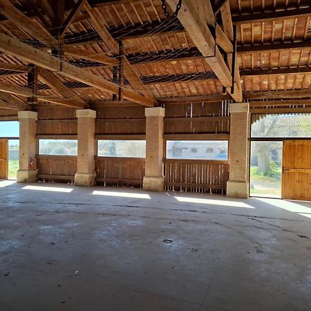 Mas De Bonnafoux Villa Beaucaire  Kültér fotó