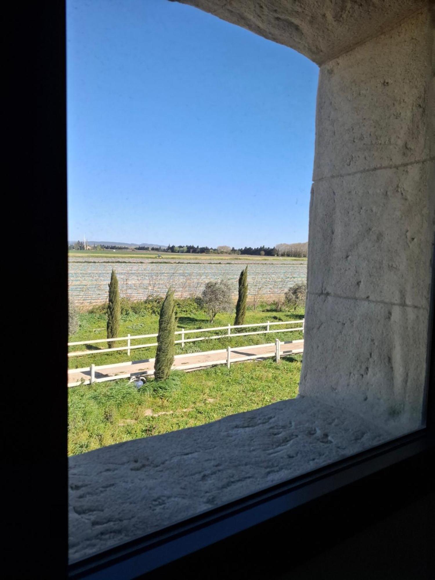 Mas De Bonnafoux Villa Beaucaire  Kültér fotó